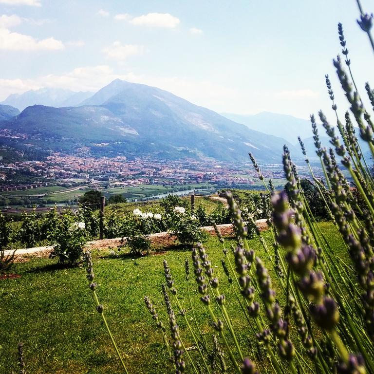 Agritur Maso Spezial Villa Villa Lagarina Екстериор снимка